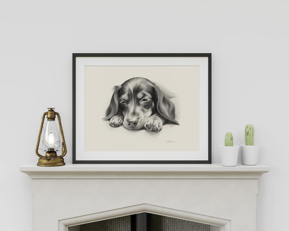 Dachshund Portrait Fine Art Print