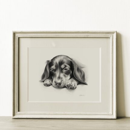 Dachshund Portrait Fine Art Print