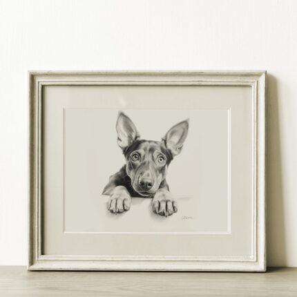 Doberman Portrait Fine Art Print