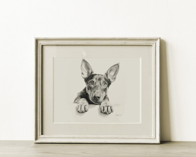 Doberman Portrait Fine Art Print