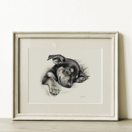 Doberman Portrait Fine Art Print