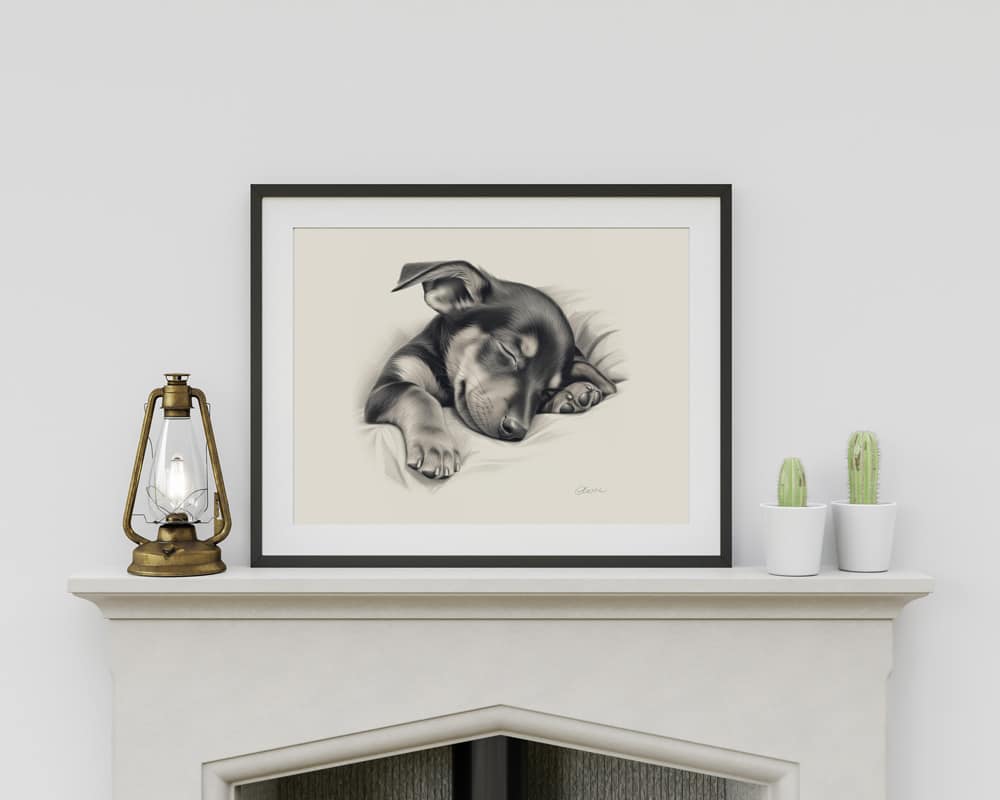 Doberman Portrait Fine Art Print