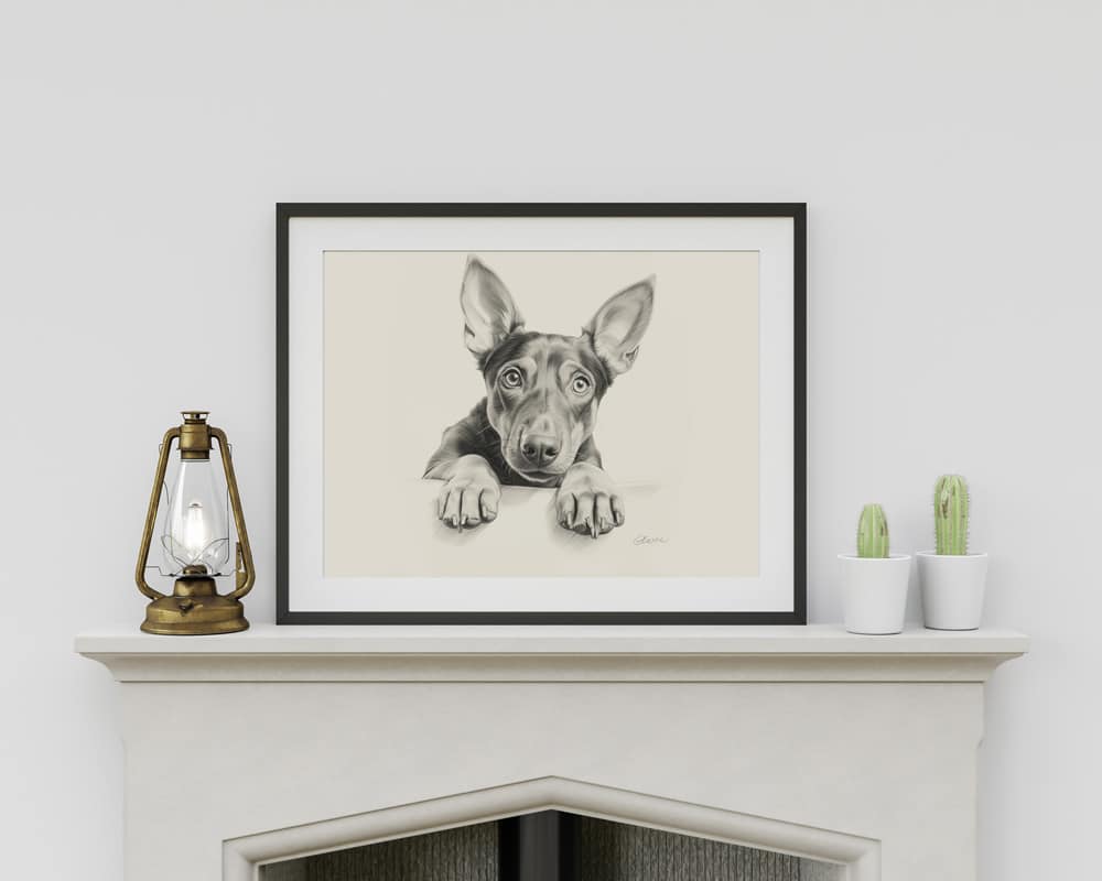 Doberman Portrait Fine Art Print