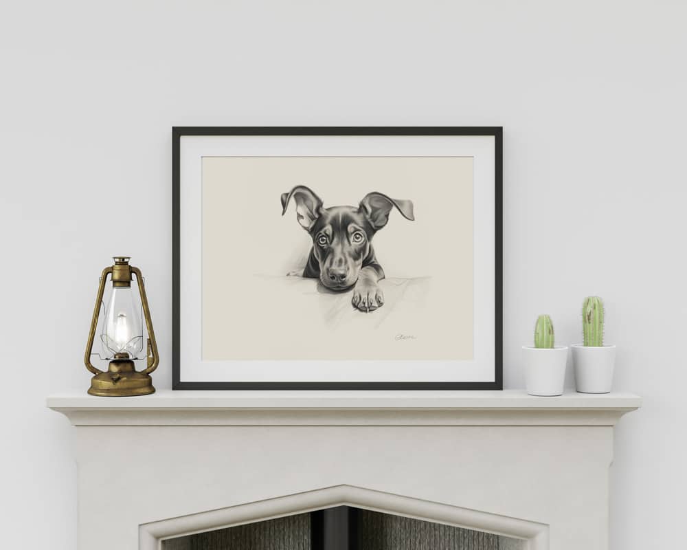 Doberman Portrait Fine Art Print