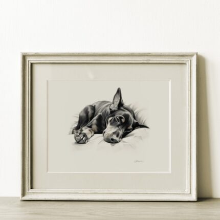 Doberman Portrait Fine Art Print