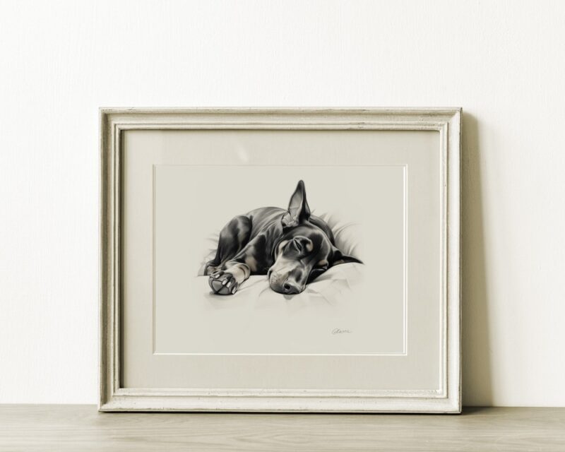 Doberman Portrait Fine Art Print