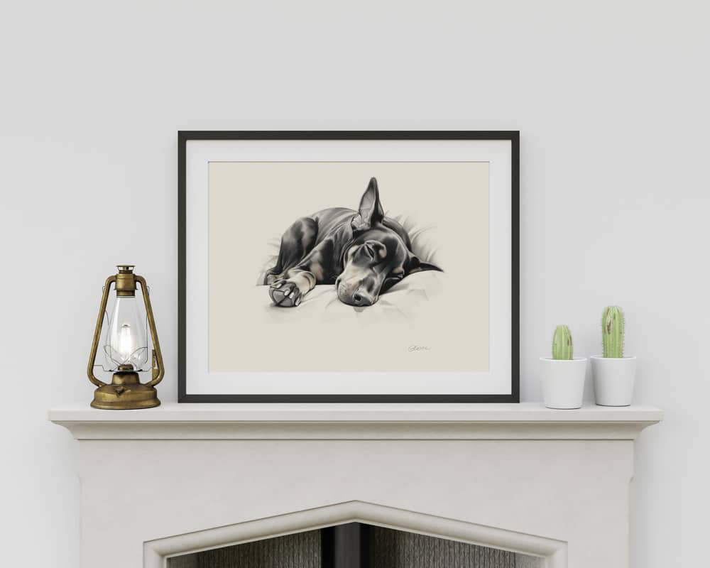 Doberman Portrait Fine Art Print