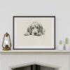 English Cocker Spaniel Fine Art Print