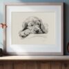 English Cocker Spaniel Portrait Fine Art Print