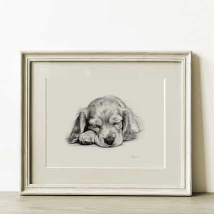 English Cocker Spaniel Portrait Fine Art Print