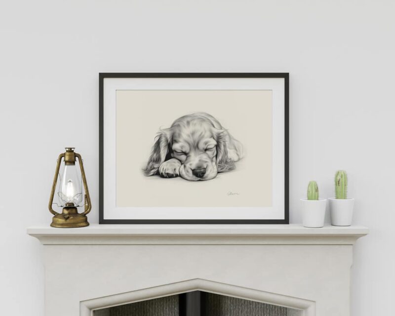 English Cocker Spaniel Portrait Fine Art Print