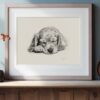 English Cocker Spaniel Portrait Fine Art Print