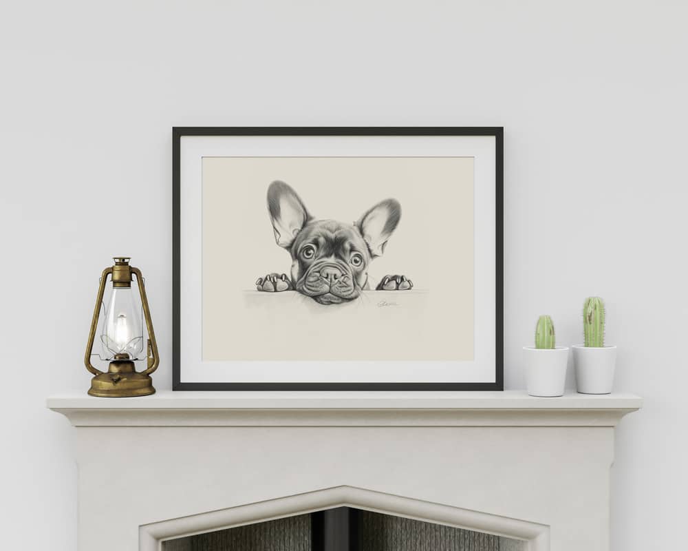 French Bulldog Portrait Fine Art Print