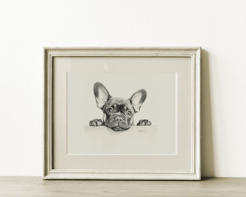 French Bulldog Portrait Fine Art Print