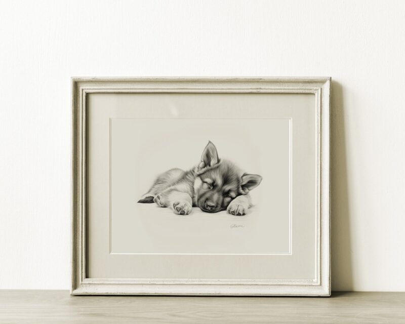 German Shepherd Puppy Portrait Fine Art Print