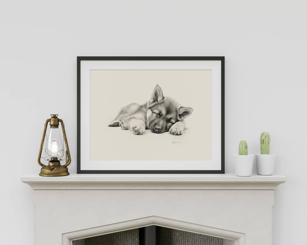 German Shepherd Puppy Portrait Fine Art Print