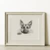 German Shepherd Fine Art Print