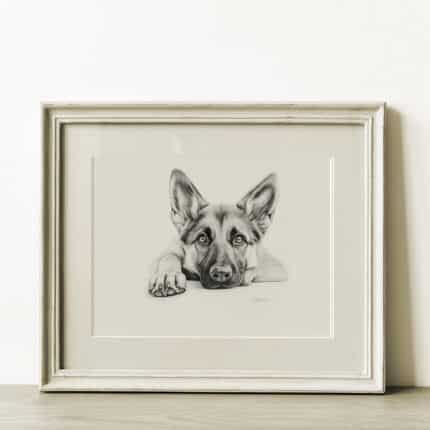 German Shepherd Fine Art Print