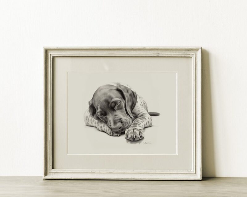 German Shorthaired Pointer Fine Art Print