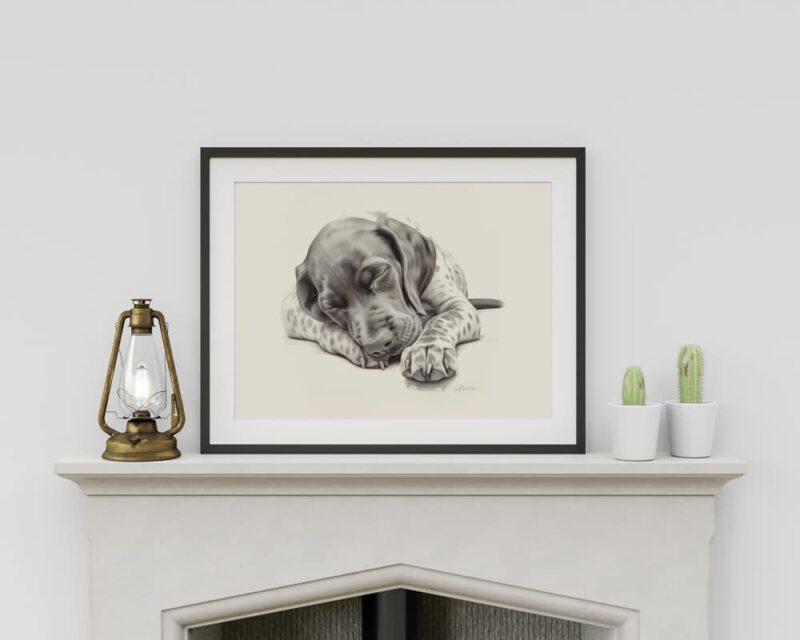 German Shorthaired Pointer Fine Art Print