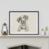 German Shorthaired Pointer Portrait Fine Art Print