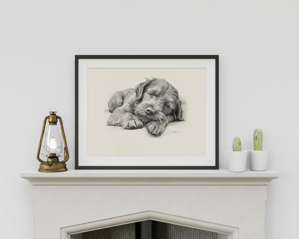 Giant Schnauzer Portrait Fine Art Print