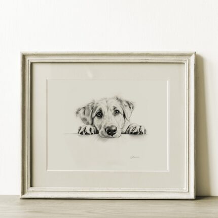 Golden Retriever Portrait Fine Art Print