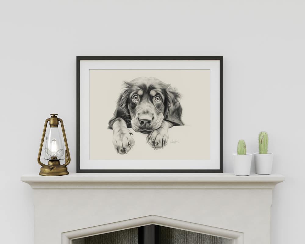 Gordon Setter Portrait Fine Art Print