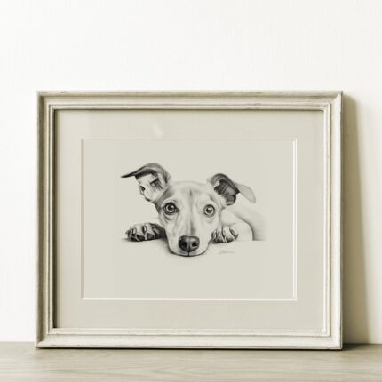 Italian Greyhound Portrait Fine Art Print