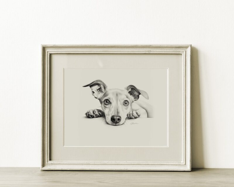 Italian Greyhound Portrait Fine Art Print