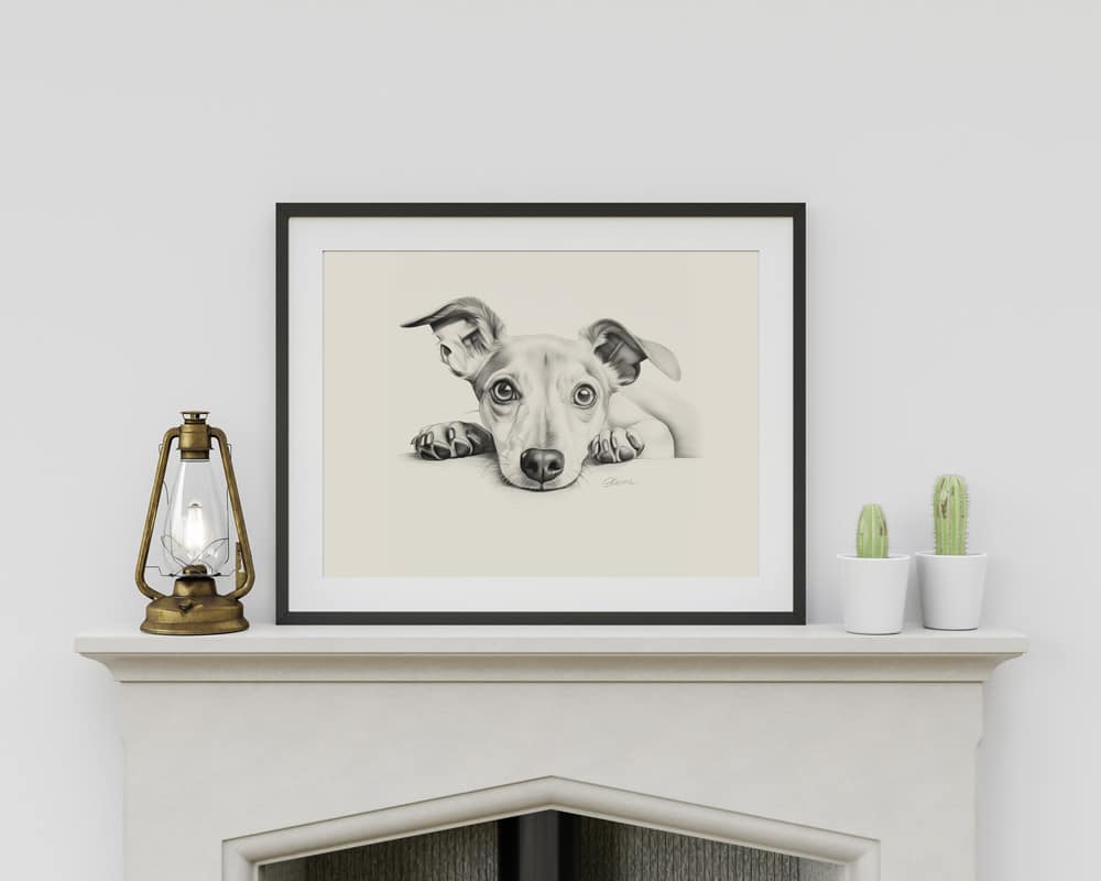 Italian Greyhound Portrait Fine Art Print