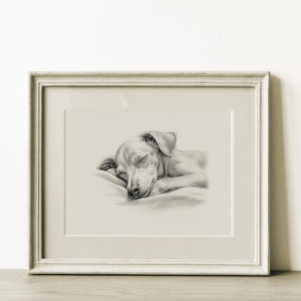 Italian Greyhound Portrait Fine Art Print