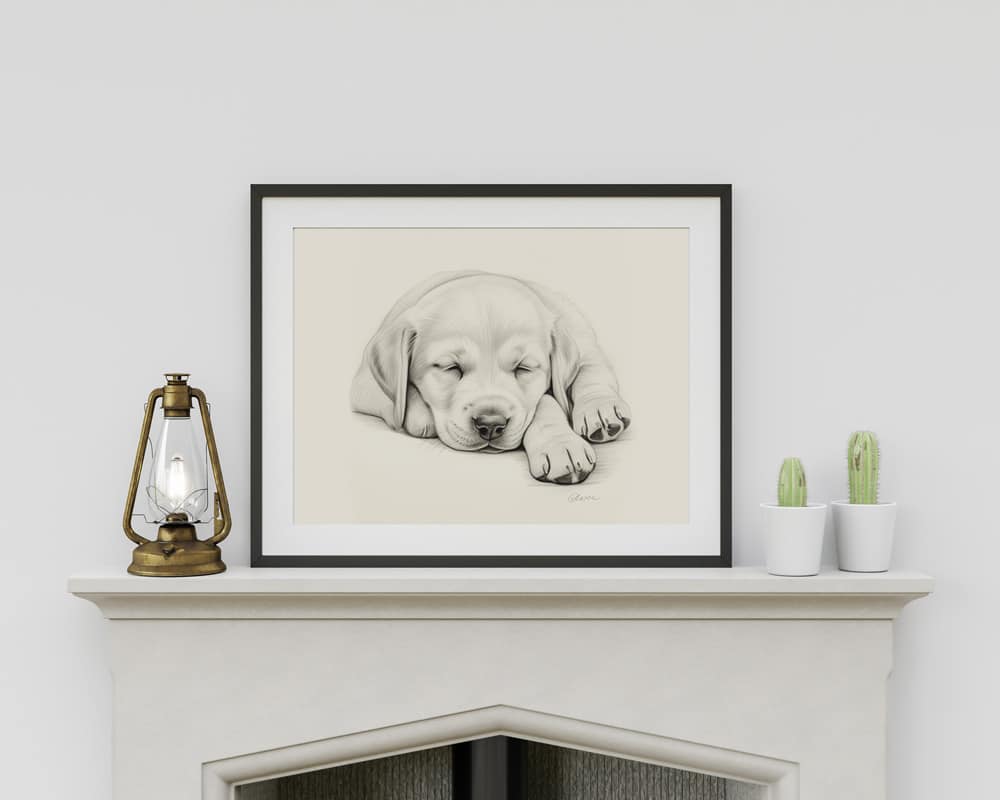 Labrador Retriever Portrait Fine Art Print