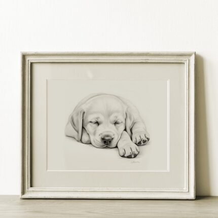 Labrador Retriever Portrait Fine Art Print