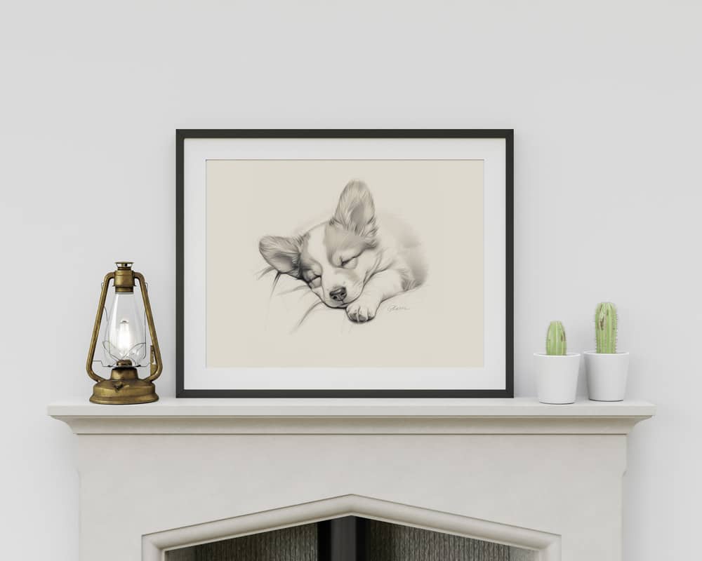 Pembroke Welsh Corgi Portrait Fine Art Print