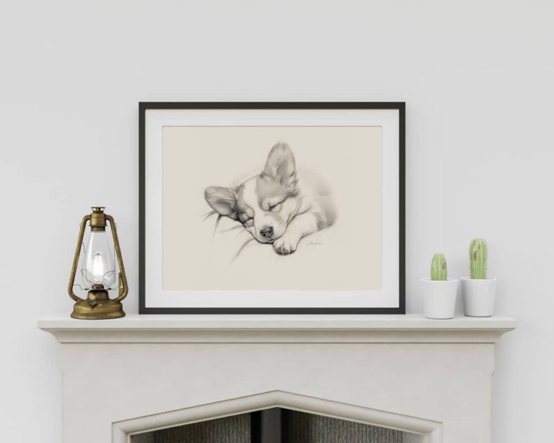 Pembroke Welsh Corgi Fine Art Print