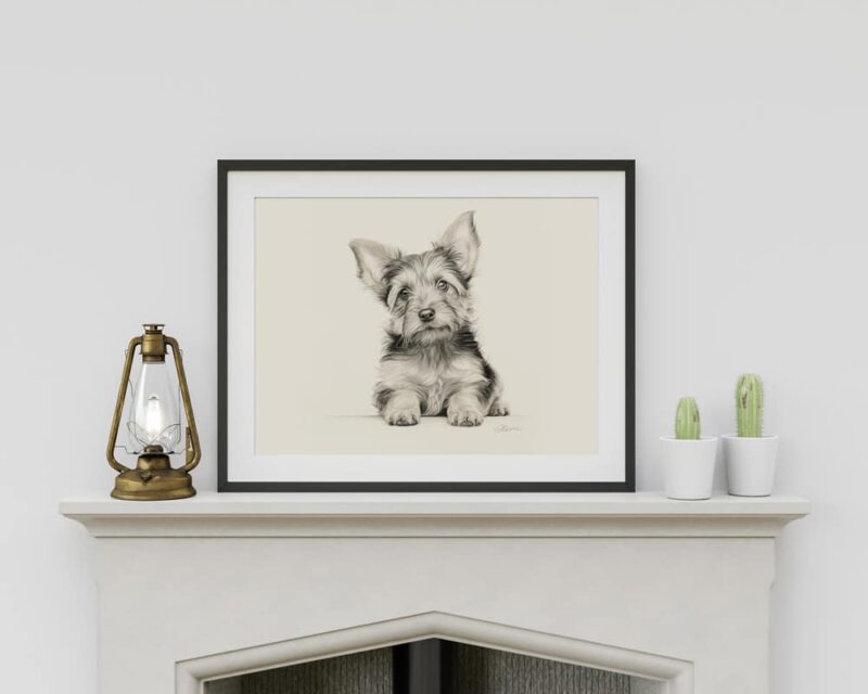 Yorkshire Terrier Portrait Fine Art Print