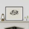 Yorkshire Terrier Fine Art Print