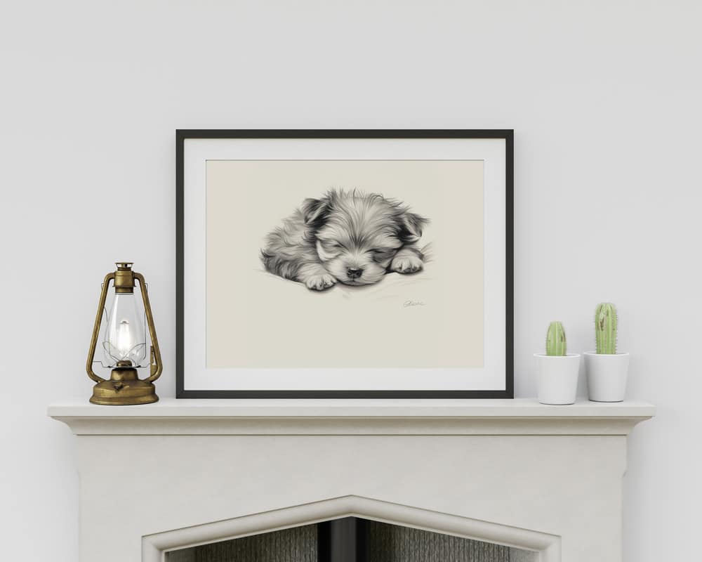 Yorkshire Terrier Fine Art Print