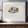 Yorkshire Terrier Fine Art Print