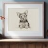 Yorkshire Terrier Portrait Fine Art Print