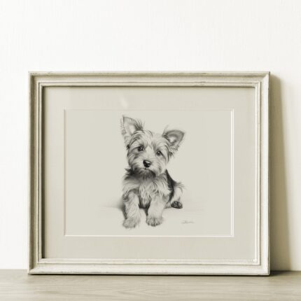 Yorkshire Terrier Portrait Fine Art Print