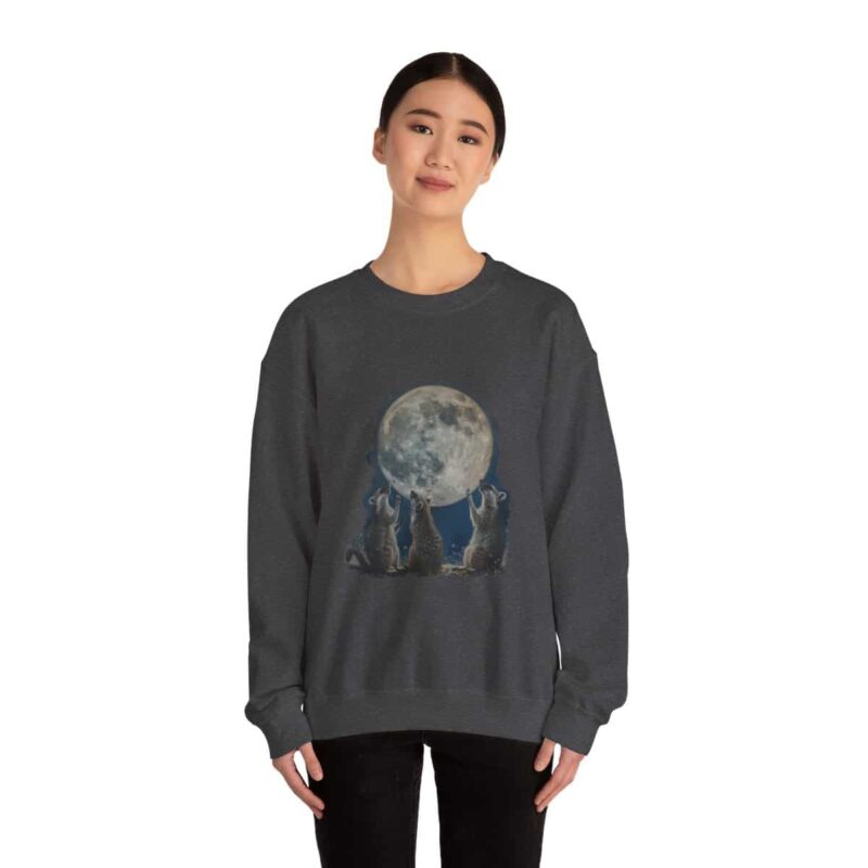 Vintage Funny Raccoon Moon Retro Sweatshirt