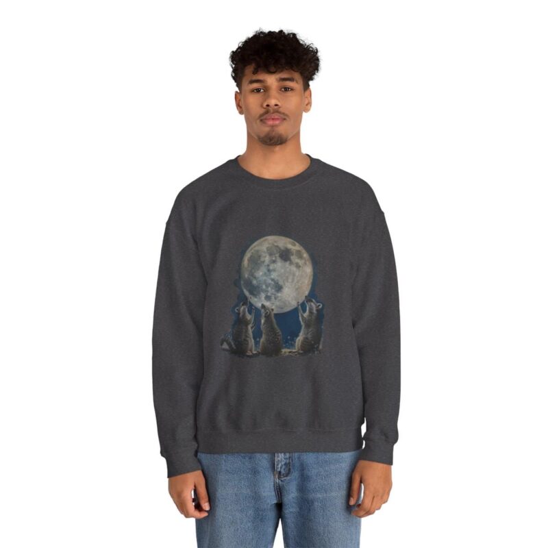 Vintage Funny Raccoon Moon Retro Sweatshirt