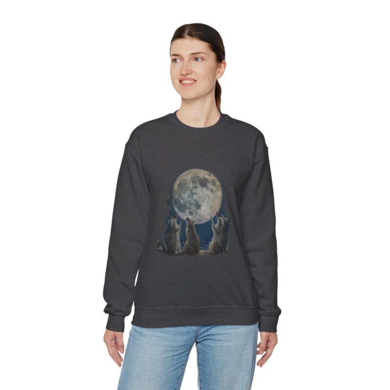 Vintage Funny Raccoon Moon Retro Sweatshirt