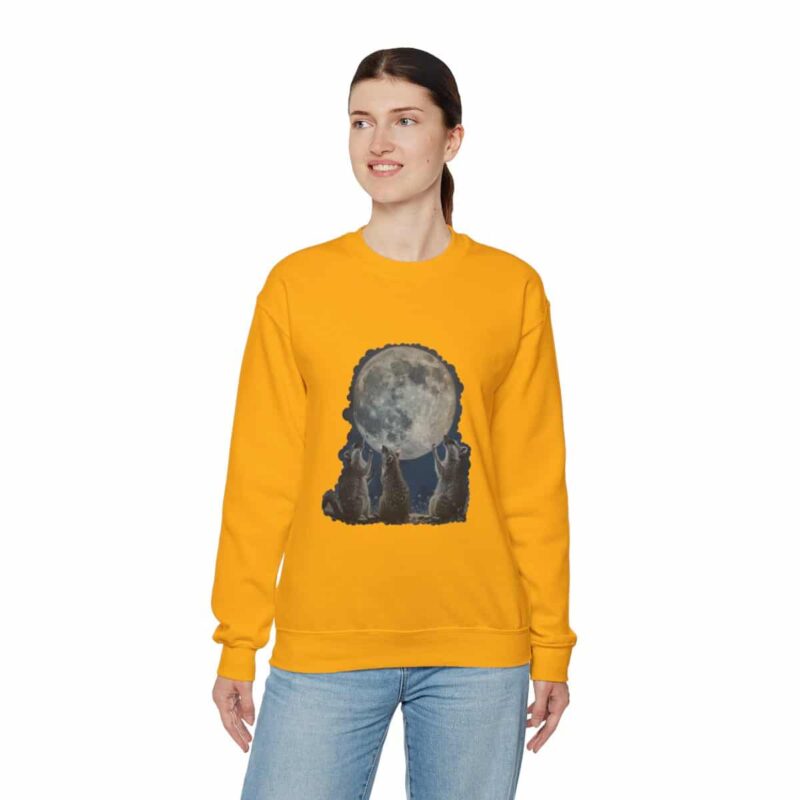 Vintage Funny Raccoon Moon Retro Sweatshirt