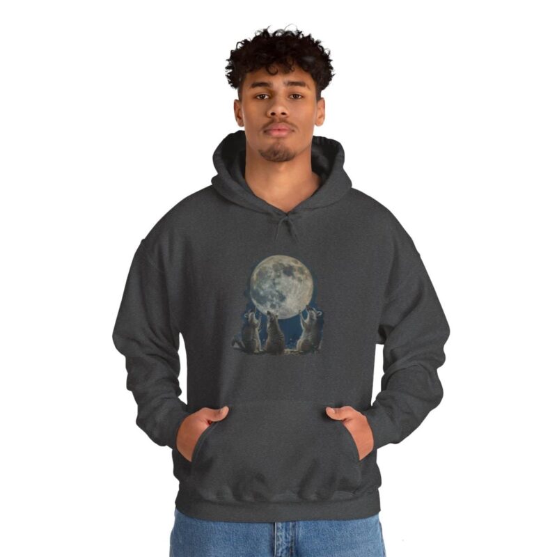 Vintage Retro Raccoon Moon Funny Hoodie