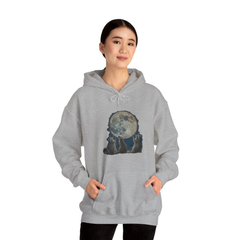 Vintage Retro Raccoon Moon Funny Hoodie