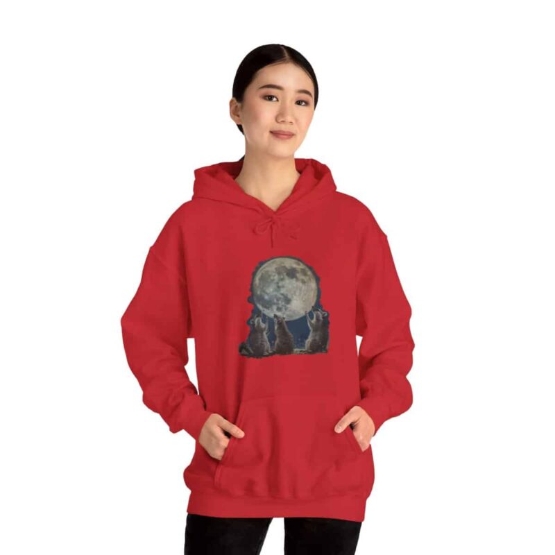 Vintage Retro Raccoon Moon Funny Hoodie