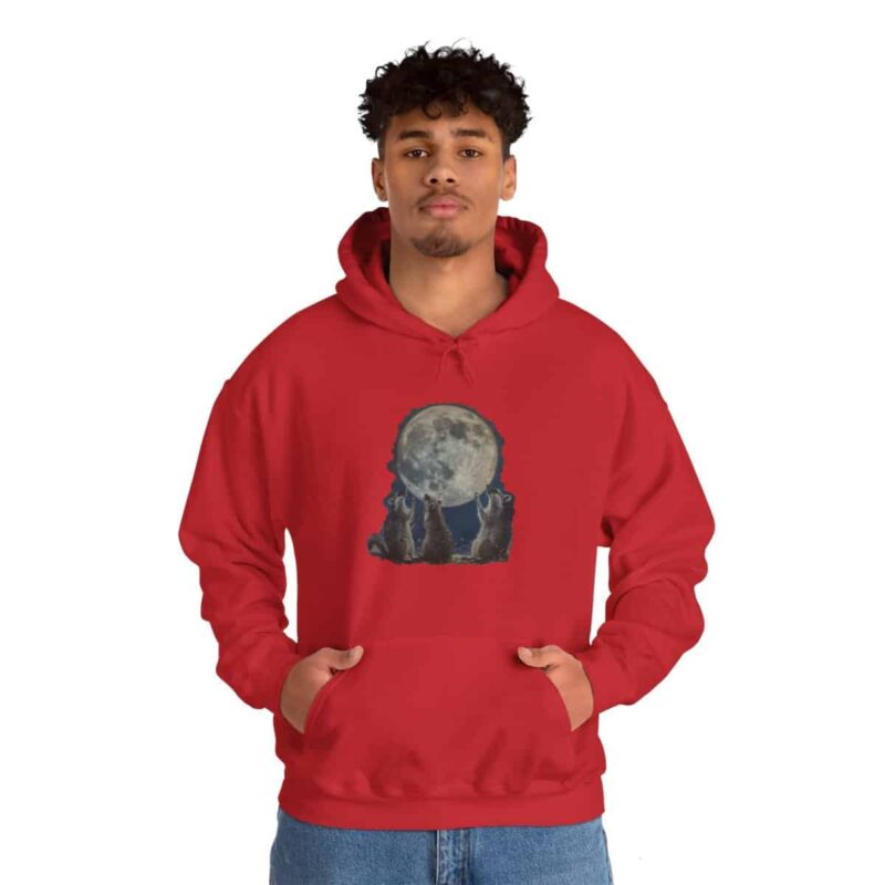 Vintage Retro Raccoon Moon Funny Hoodie